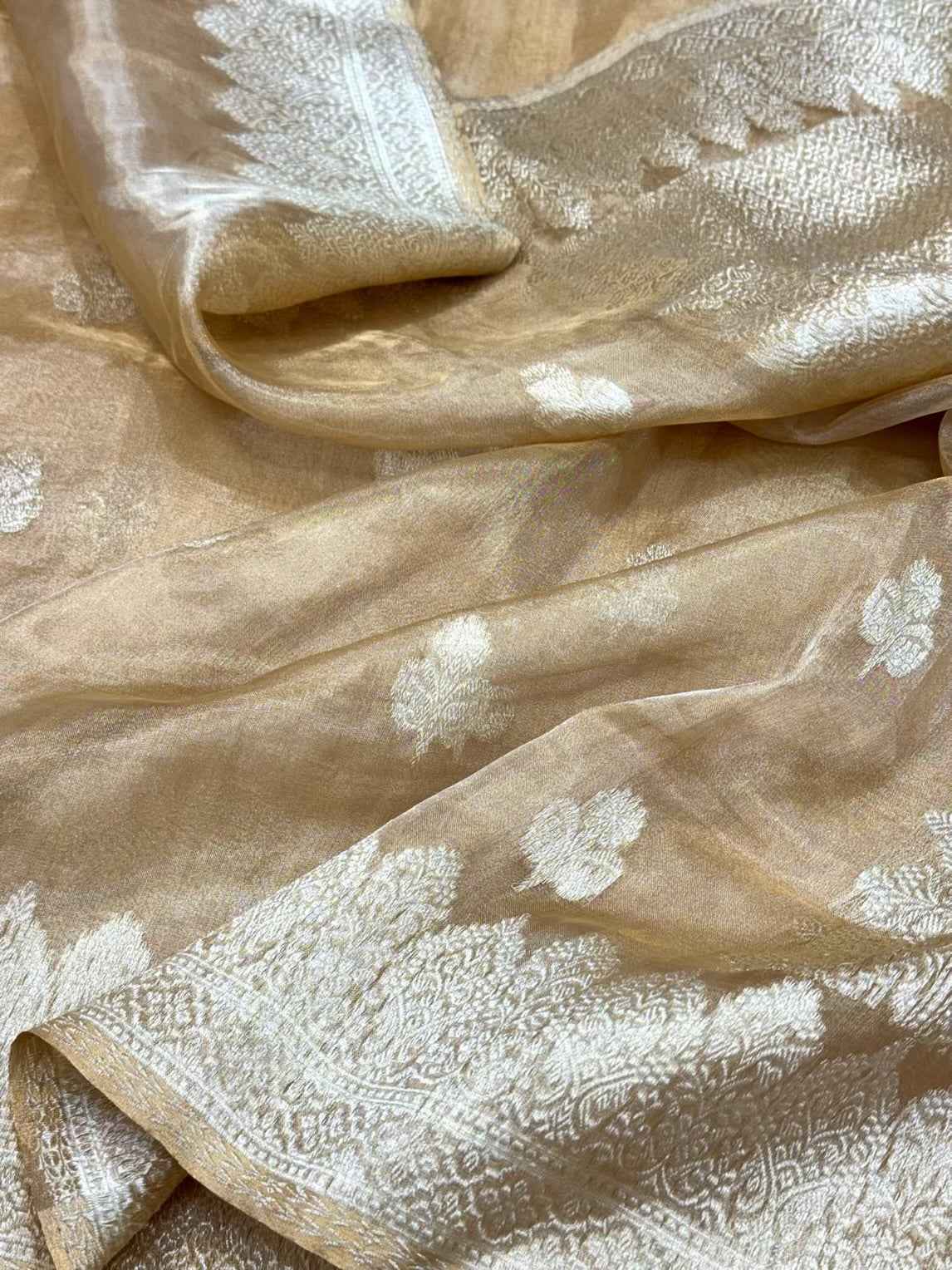 Molten Gold Pure Ektara Tissue Silk Saree | Kadhwa Technique | Handwoven Banarasi Silk Saree
