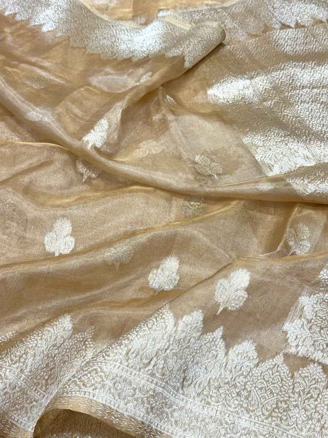 Molten Gold Pure Ektara Tissue Silk Saree | Kadhwa Technique | Handwoven Banarasi Silk Saree