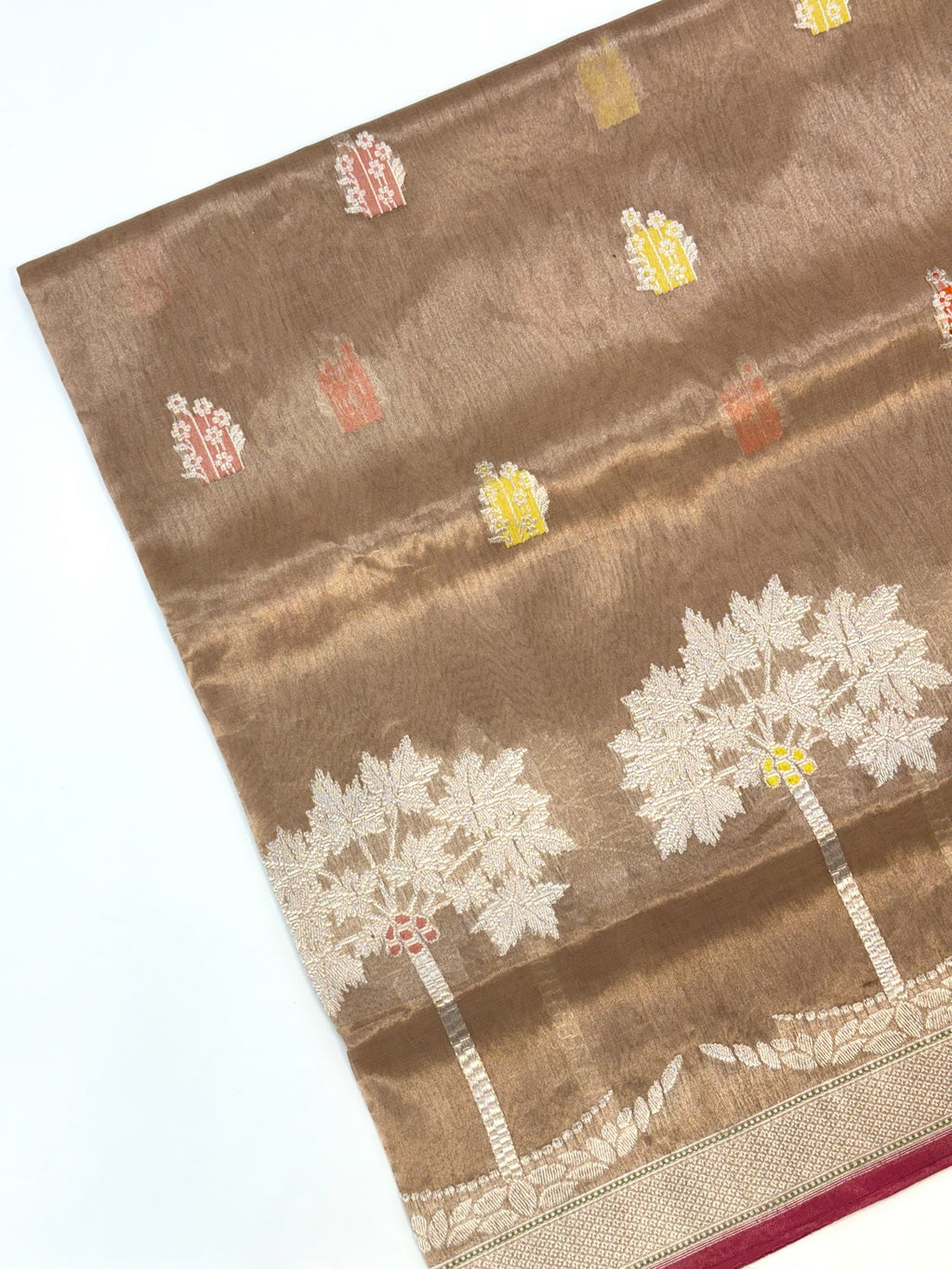 Champagne Kora Tissue Pure Handwoven Saree