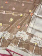 Champagne Kora Tissue Pure Handwoven Saree