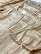Beige Ektara Weave Katan Tissue Handwoven Banarasi Silk Saree